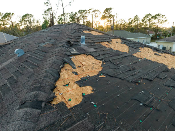 Professional Roofing Service in Longwood, FL