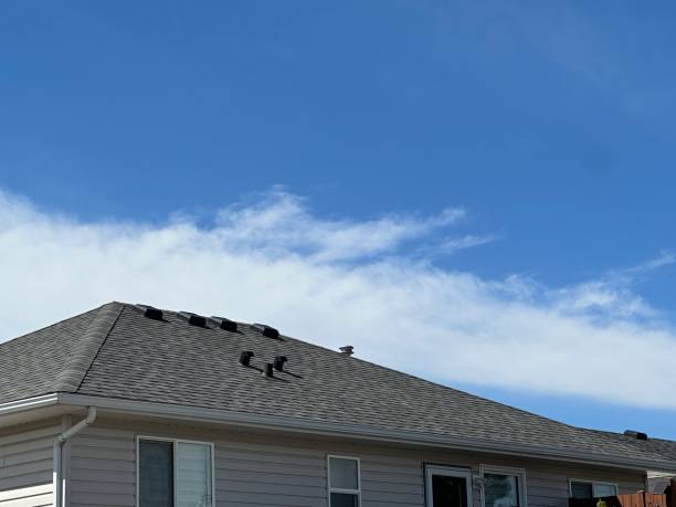 Professional Roofing Service in Longwood, FL